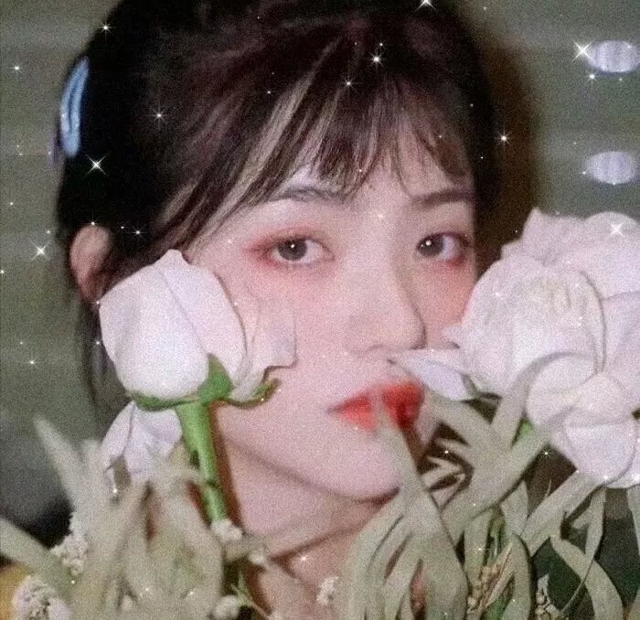 红尘囧探刘小唐